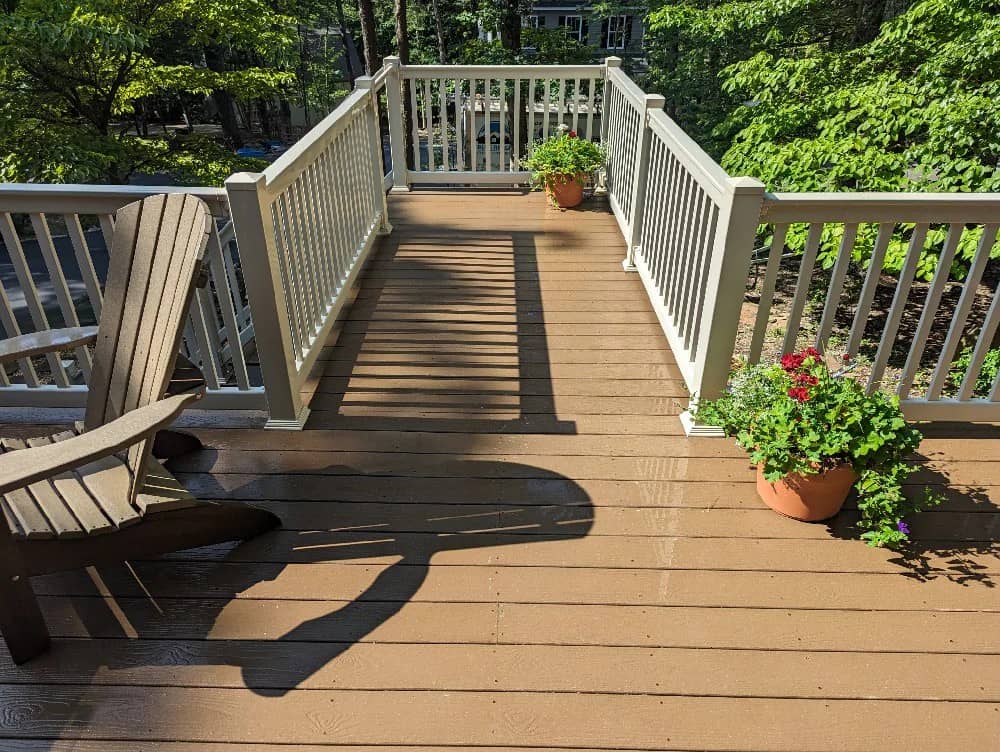 Sunny Deck Chairs Plants Augusta County Virginia